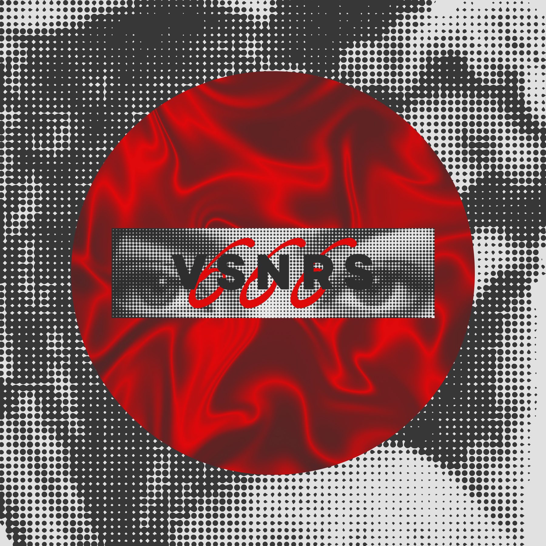 VSNRS_666 — emblema